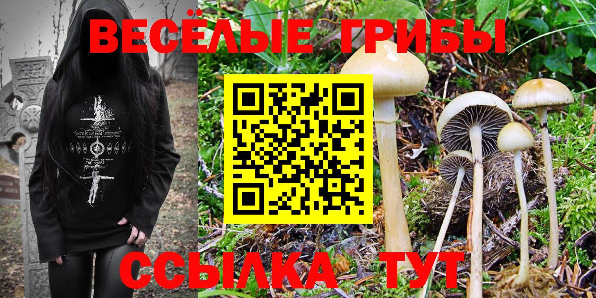 Псилоцибиновые грибы Magic Shrooms Сосновый Бор